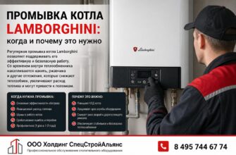 Промывка котла Lamborghini