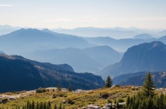 Наши предложения