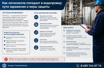 Как легионелла попадает в водопровод: пути заражения и меры защиты